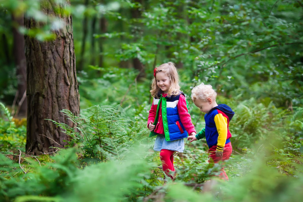 Advice for taking young children on hikes Winnie