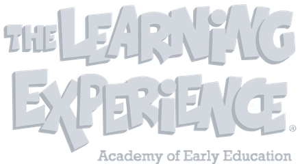 The Learning Experience