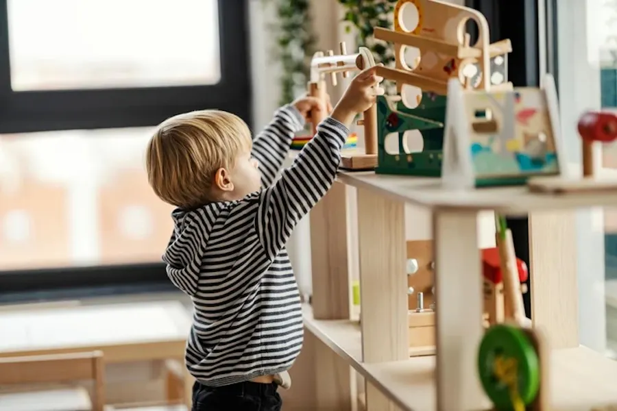 AMI vs AMS: Understanding Montessori Certifications