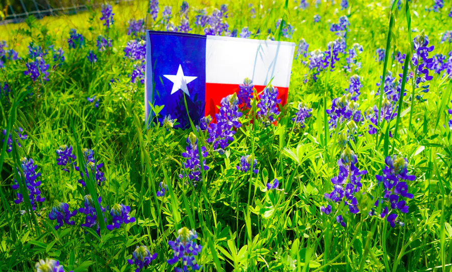 How to Find and Apply for Childcare Assistance in Texas