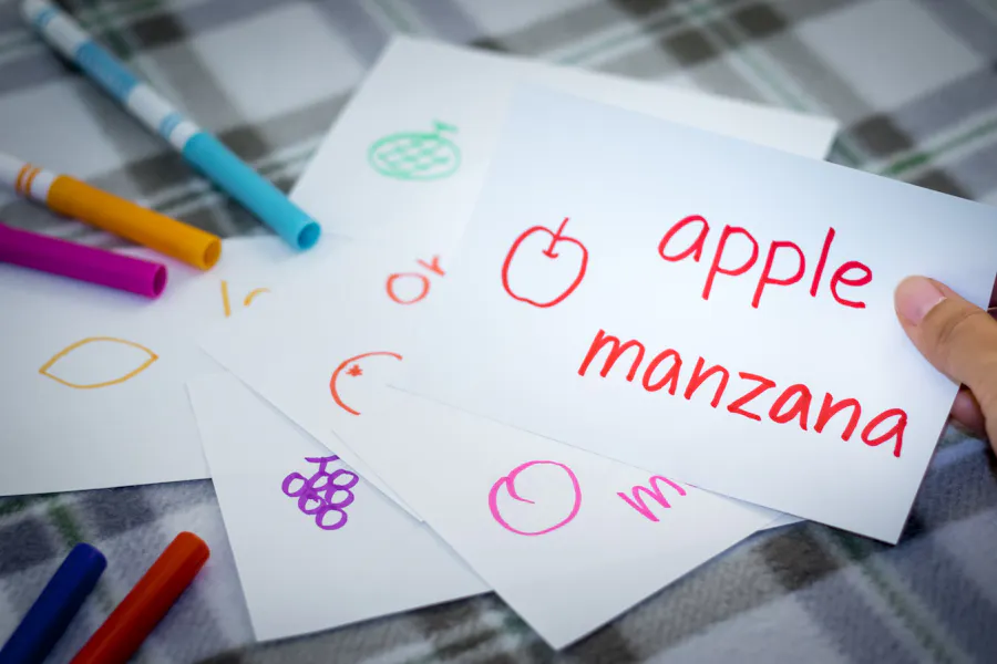 What is Bilingual Education? Cognitive and Social Benefits